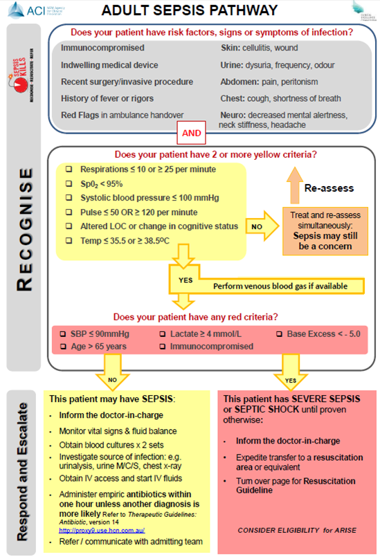 Adult sepsis pathway check of patient in shock, with blood pressure, respiration, heart functions to give oxygen or the right venous treatment