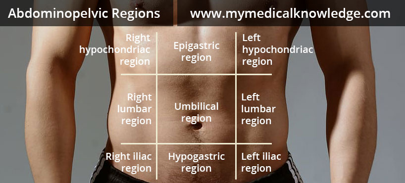 Abdominopelvic Regions to locate abdominal pain